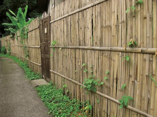 COUVERTURE Beach en barils de bambou 2x3 m, pour clôtures et décorations Look