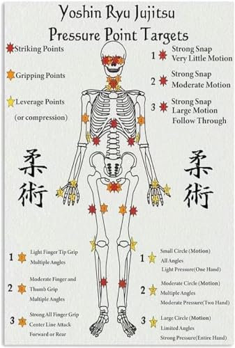 FJQWKLF Yoshin Ryu Jujitsu Druckpunkt-Metallschilder, Ziele, Wissensposter, beliebtes Garten-Selbstverteidigungs-Informationsplakat, Tisch, Bar, Garage, Club, Drucke, 20,3 x 30,5 cm
