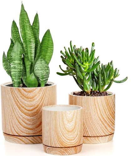 Dicunoy Set of 3 Ceramic Plant Pots Indoor, Cylinder Flower Planter with Drainage Hole and Saucer, Wooden Pattern Indoor Aloe Succulent Containers for Home, Office Decoration (15cm/12.7cm/10cm)
