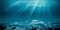 MIRRORANG 180x61cm Unterwasser-Thema Aquarium Hintergrund Sonnenschein Unterwasserwelt Aquarium Poster Hintergrund Vinyl Hintergrund