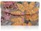 Shimmerz Frauen Clutch Blumenstickerei Pailletten Abendklaue Taschen Party Handtasche Damen（Orange）
