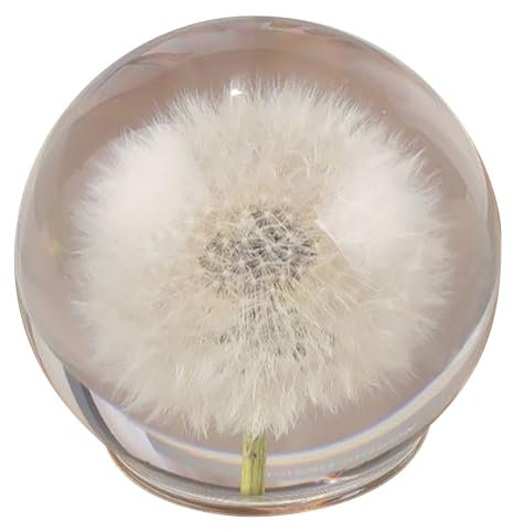 Sfera di Quarzo Bianco con Fiori Reali, Sfera Cristallina con Soffione, Margherita e Nebbiolina, per Arredamento e Regalo(White,3.14in/8cm)