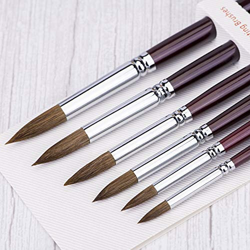 Pinselset Künstler Malen (Profi Künstlerpinsel (6-teiliges Set))