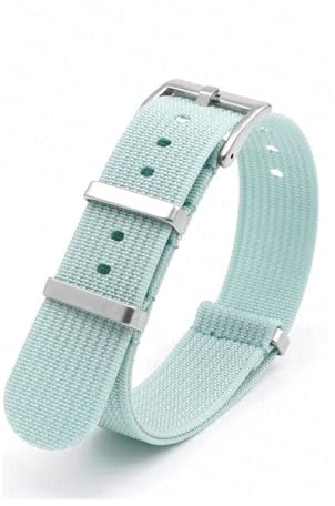 HCPHCVEVVK Armband passend for Swatch(Lake blue)