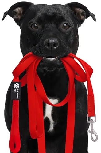 Reichstadt Pets Robuste PVC Hundeleine für Hunde 25RSP086 Red 15m | Wasserabweisend, rutschfeste Oberfläche | 360° Edelstahl-Karabiner, pflegeleicht & wetterfest
