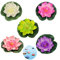 Schwimmende Blumen Künstliche Seerosen Schwimm Lotus Blumen Wasserlilie Pflanzen Seerose Blume Dekor Künstliche Lotus Blume Schaum Lotusblume Dekoration für Aquarium Terrasse Garten Teich 5pcs