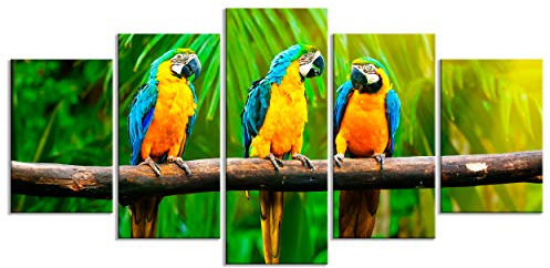 decomonkey - Impression sur Toile Animau Perroquets 150x75 5 Pièces - Tableau Décoration Appartement Cadre en Bois Déco Salon Peinture sur Toile Jungle nature perroquets oiseaux plantes animaux