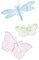 Sizzix Framelits Stanzformen und Stempel, gravierte Flügel von 49 and Market
