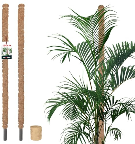 KOTARBAU® Moosstab für Monstera ⌀ 2,5x100 cm, Rankhilfe für Zimmerpflanzen | Kokosstab für Philodendron & Efeutute, Pflanzstab, Pflanzenstütze aus Kokosfaser, Braun, 2er Set