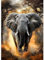 MXJSUA Diamond Painting Kit pour Adulte Débutant, Savane Éléphant 5D Diamant Painting Images Ronde Diamond Peinture Diamant Adulte, Cristal Débutant Art Set pour Décoration Murale Maison 30x40cm