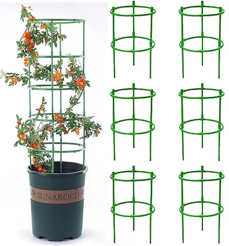 UCLEVER Set di 6 Supporto Piante, Sostegno Piante, Verde Supporto per Piante, Semicerchio Supporto Piante, Riutilizzabile Indicato per Pomodori Peonie Vite Piante Rampicanti, WYSS01
