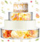 Digiele Présentoir à Gâteau, 2 Pièces Planches Gâteaux en Acrylique pour Table à Dessert Cupcakes, Cylindre Transparent Remplissable Rond avec LED Décoratif pour Anniversaire, Mariage et Fête (6 10)