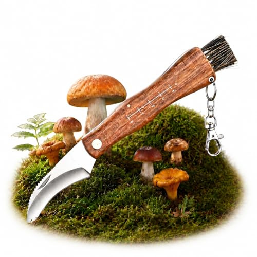 BXUUXA Coltello Funghi con Spazzola 20.7cm Coltello Pieghevole per Esterni con Manico in Legno Coltello da Caccia ai Funghi in Acciaio Inox per Amanti dei Funghi Escursionisti e Uso Domestico