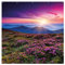 Wallario XXL Outdoor-Poster für Garten oder Balkon Blumenbedeckte Wiese bei Sonnenuntergang, Motivbanner Größe: ca. 180 x 180cm, 2-teilig, Outdoor-Bild