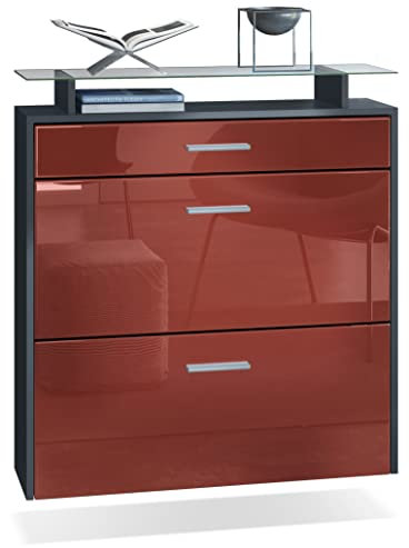 Vladon Schuhschrank Malea, Anthrazit matt/Bordeaux Hochglanz - hängender Schuhkipper für 16 Paar Schuhe (89 x 96 x 23 cm)