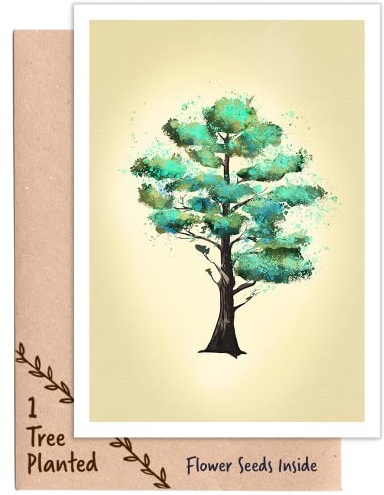 1 Tree Cards Plant a Tree Gift & Plantable Seed Card that Grows Flowers. For Eco Warrior Men, Women, Nonbinary - Any Occasion - Sympathy (Scots Pine)