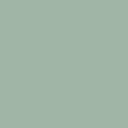 Zinsser Allcoat Exterior Satin Tinted Colour (BS 14C35 Breamer/Chartwell Green, 2.5 Liters)