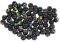 Bartl 112176 Murmeln Kiddy 15mm ø ca.250 Stück