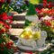 OKESYO Solar Schildkröte mit Gartenzwerg Gartenfiguren Gartenstatuen mit Sukkulenten und Leuchten, Wetterfest Gartenzwerg Figuren für außen, Garten, Terrasse, Rasen