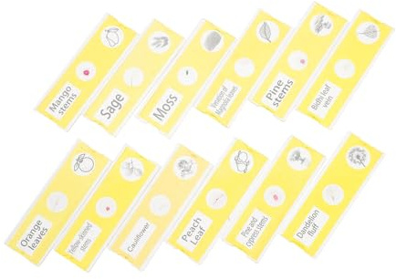 BESPORTBLE 12pcs Prepared Microscope Slides Collection with Labeled Plant Specimens Safe Slides for Biology Science Education Easy Classification and Permanent Storage