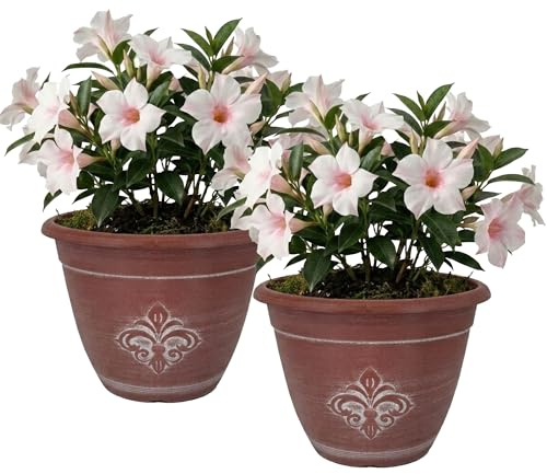 SG Traders Plant Pots Outdoor - Large Garden Planters for Outdoor Use, Durable Fleur De Lys Flower Pots with Drainage Holes, Modern Patio Planters for Garden, Balcony, and Home Décor (Pack of 2)