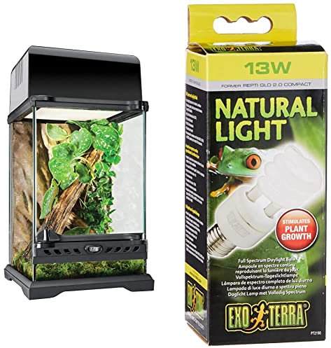 Exo Terra Terrarium aus Glas, mit einzigartiger Front Belüftung, 20 x 20 x 30cm & Natural Light, Vollspektrum-Tageslichtlampe, Kompakte Lampe mit idealem Tageslichtspektrum 13W, Fassung E27