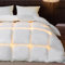 BEDSURE Daunendecke 220x240 Daunen Bettdecke - Warm Winterdecke aus 90% Daunen / 10% Federn 2320 gr. Dick Füllung, Extra Warm Federbettdecke with Öko-Tex Zertifikat, Waschbar Steppdecke Weiß