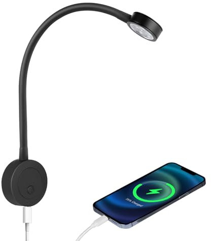 acegoo 12V Reading Light, Bedside LED Wall Mounted Reading lamp Flexible Gooseneck DC 24V Bed Light with Press Dimmer Switch & Type-C Charger for Boat Campervan Cabin Motorhome Caravan (1 pcs)