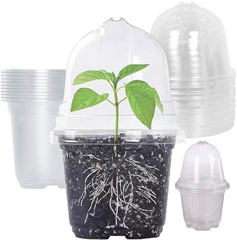 DITK-U 10 Pcs Anzuchttöpfe mit Feuchtigkeitskuppe Rund Blumentöpfe Klein Pflanzentöpfe Plastik Baumschule Sämling Töpfe für Saatgut, Stecklinge, Sukkulenten