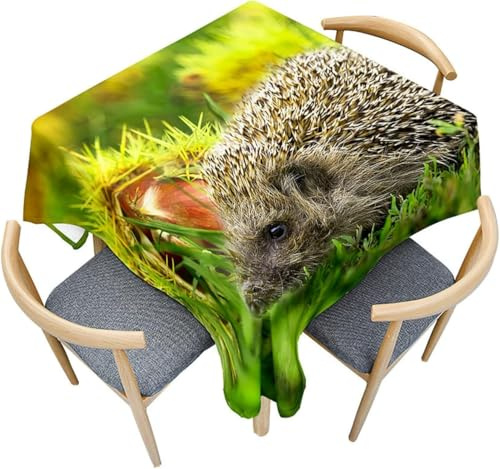 Tischdecke Outdoor Igel Tischdecken Abwaschbar 3D Niedliche Tiere Tischdecke Wetterfest Wasserdicht für Party Biertisch, 100x100 cm Q.P3343
