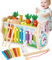 SOBEAU 8 in 1 Holzspielzeug hammerspiel ab 3 Jahr，Holz Montessori Musik Spielzeug，Xylophon，Karotte，Angelwurm，Zahnräder，Geschenkspielzeug für Kinder im Alter von 3 4 5 6 7 Jahren