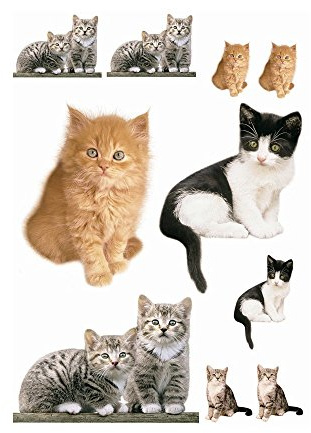 Komar Deco-Sticker KITTY | 50 x 70 cm | Wandtattoo, Wandbild, Wandsticker, Wandaufkleber, Walltattoo, Katzen, Hauskatzen, Tiere, Baby | 17010h