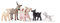 SCHLEICH Farm World | Bauernhof Tiere Set 77534 mit Hund, Schwein, Ziege, Schaf und Esel | Bauernhof Spielzeug ab 3 Jahre Tiere Set aus 6 Teilen | exklusiv bei Amazon