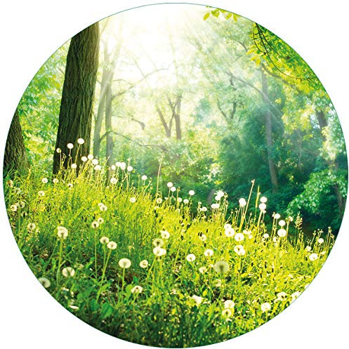 Wallario Glasbild rund Pusteblumen im Wald mit einfallenden Sonnenstrahlen - Rund, 50 cm Durchmesser Wandbild Glas in Premium-Qualität: Brillante Farben, freischwebende Optik