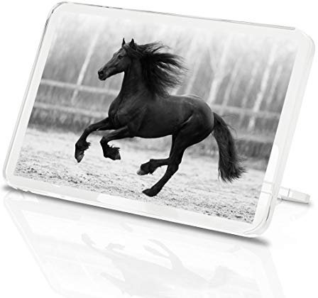 1 x Fridge Magnet - Black Friesian Horse #35298