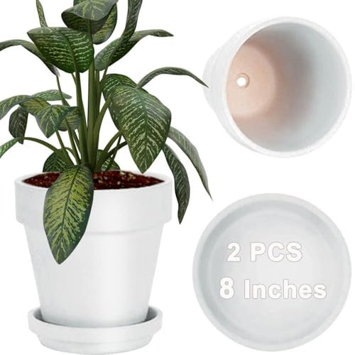 vensovo 20CM White Clay Pot for with Saucer - 2 Pack Large Terra Cotta Plant Pot with Drainage Hole, Flower Pot with Tray, Terracotta Pot for Indoor Outdoor