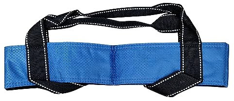 Acclaim Austin Ladies Classic Four Bowls Ripstop Nylon Carrier Designed to Fit Up to Size 2 Bowls for Indoor & Outdoor Bowling (Blue)