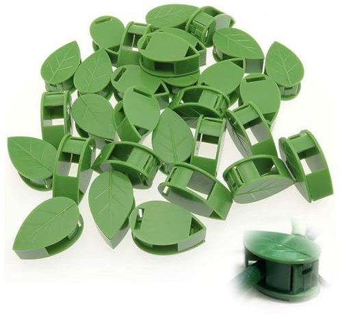 BQRKOTM 20 Pièce Clip De Support Pour Plantes Grimpantes, Clip De Fixation Végétale, Clip De Mural Végétal Auto-Adhésif, Plante Invisible Plante Murale Clips Pour Les Plantes Grimpantes Murales De La