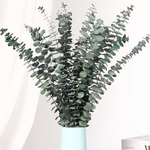 16 Pcs Dried Eucalyptus Stems 17'' Natural Real Greenery for Shower Hanging | Preserved Eucalyptus Leaves, Bathroom Decor, Dried Plants Branches, Home SPA Fragrance, Wedding Bouquet, Table Vase, Crafts