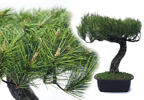 Bonsai Pinie 35 cm künstlich wie echt Kunstblume Kunstpflanze Kunstbaum Deko