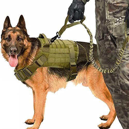 Militärisches Taktisches Hundegeschirr Für Mittelgroße Und Große Hunde, Und Bungee-Hundeleine Set, Verstellbare Militär-Hundeweste,Hundewesten Für Diensthunde Für Training,Grün,M