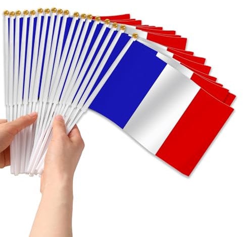 AEYAKA Pequeña Bandera Francesa, conjunto de 30 Mini Banderas Francesas perfectas para los Juegos,la Copa del Mundo, el Día Nacional y la Decoración - 14 x 21 cm