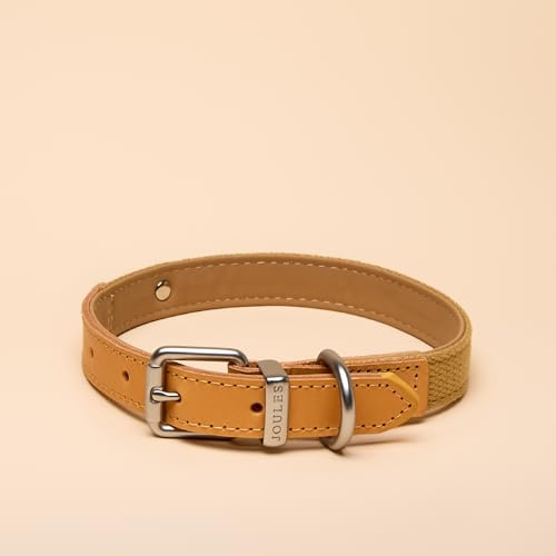 Rosewood x Joules Hundehalsband, Größe M, strapazierfähiges Leder und Gurtband, stilvolles Design mit gebürsteter Metallschnalle, hochwertiges Haustierzubehör