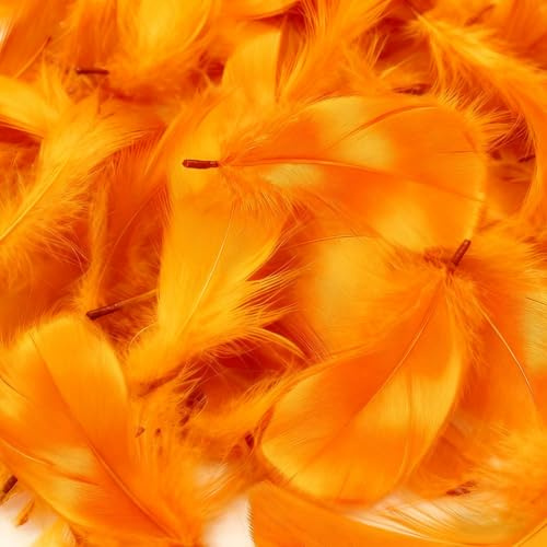 Mbsomnus 600 Stück Federn zum Basteln Orange Federn Natürliche Feder Deko Bastelfedern für DIY Handwerk Traumfänger Ohrringen Kopfschmuck Federblumen Hochzeit Weihnachten Party Dekoration | Bastelfedern, 5-12 cm, für DIY Handwerk, Traumfänger, Ohrringen, Kopfschmuck, Federblumen, Hochzeit, Weihnachten, Party Deko