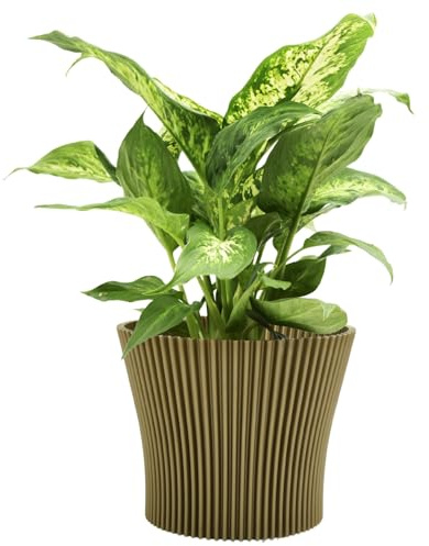 B2C Matt Ribbed Flower Pot – Modern Flared Conical Planter with Pleated Design, Lightweight, Indoor/Outdoor Decorative Plant Pot – Multiple Sizes & Colors (Gold, 19cm)