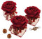 Günthart 9 Stoffrosen | auf Box | gefüllt mit feinen Pralinen | rote Rose | Geschenkidee | chocolate emotion