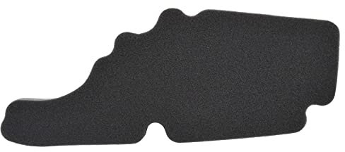 AHL Motocicletta 843194 Filtro Aria compatibile con Vespa LX50 (4t) (2006-2014)/ Vespa S150 (2007-2016)/ Vespa LXV (2007-2016)/ Piaggio Fly 50(4t) and Fly 150 (2005-2012)