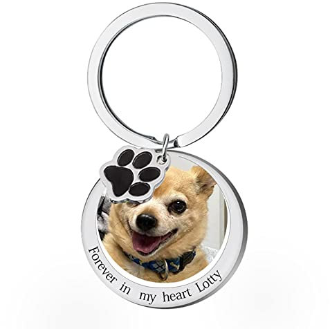 Porte-clés photo personnalisé pour animaux de compagnie, porte-clés photo personnalisé avec empreinte de patte pour chien et chat, porte-clés gravé pour amoureux des animaux (Argenté01)