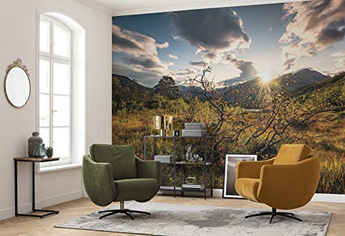 Komar Vlies Fototapete NORWEGISCHE HERBSTWELTEN | Tapete, XXL, Dekoration, Natur, Landschaft, Schlafzimmer, Wohnzimmer, Büro, Flur | Größe 450 x 280 cm (Breite x Höhe) | SHX9-060