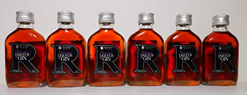Raisthorpe Damson Gin 6 x5cl